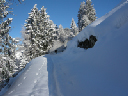 DSCN4544