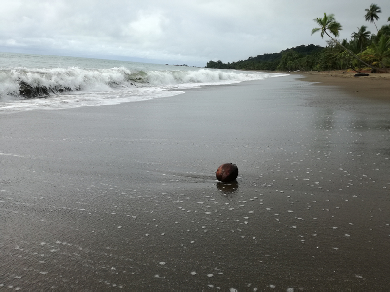 IMG_20161130_140404_1