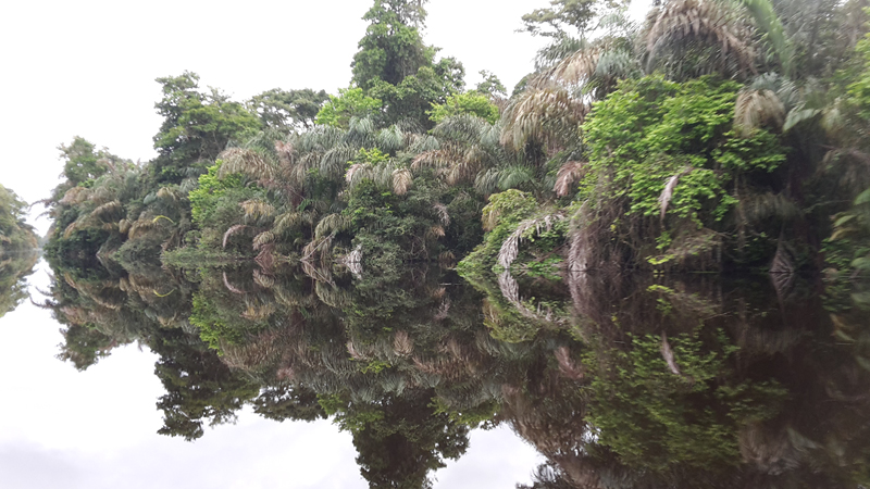 13_Paysage en miroir