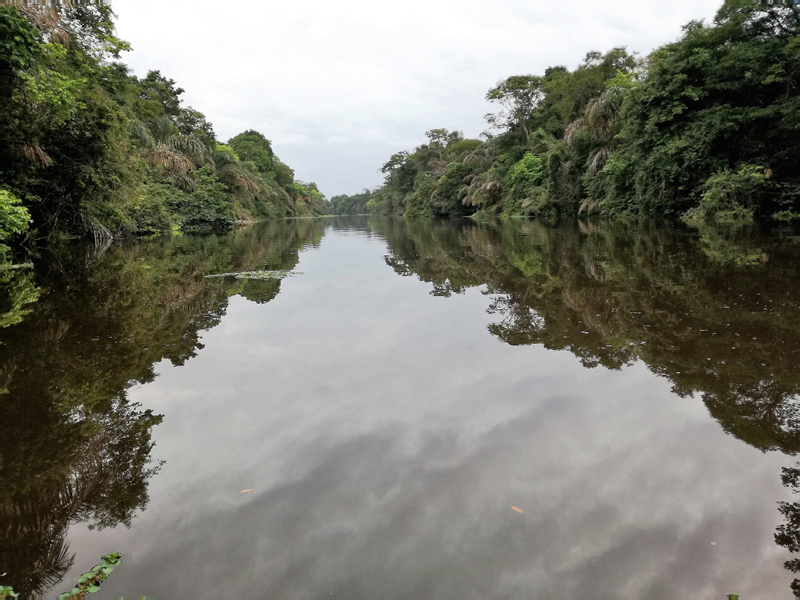 19_Paysage en miroir Rio Sarapiqui