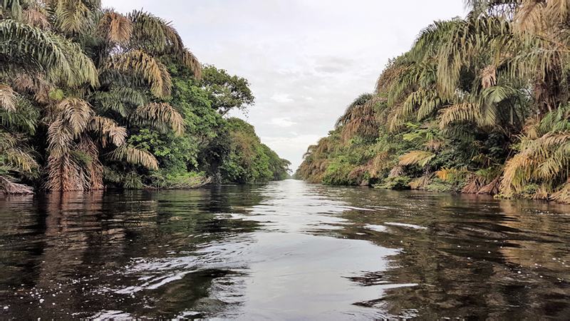 58- Rives Rio Sarapiqui
