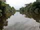 19_Paysage en miroir Rio Sarapiqui