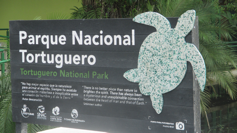 38-1-Parc Tortuguero