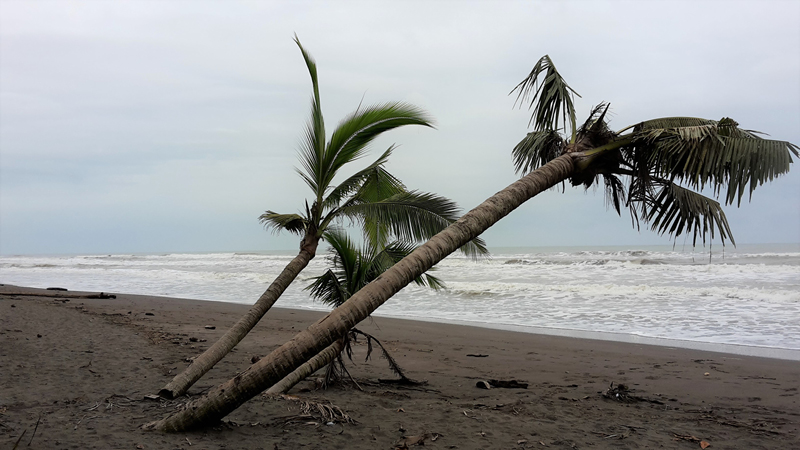 48_Plage Tortuguero