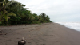 49_Plage Tortuguero