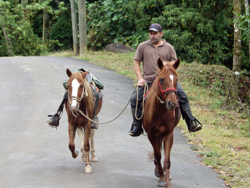 20_Cavalier -Montagne