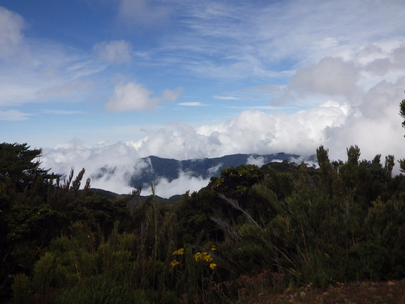 22-1_Route vers le Pacifique 