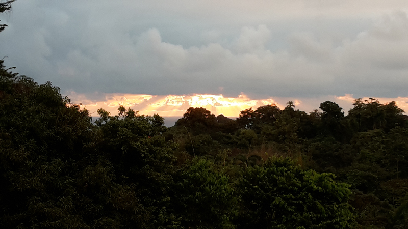 4-Lodge dans montagne