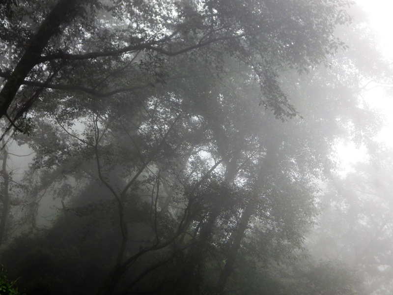 6_Route vers la montagne