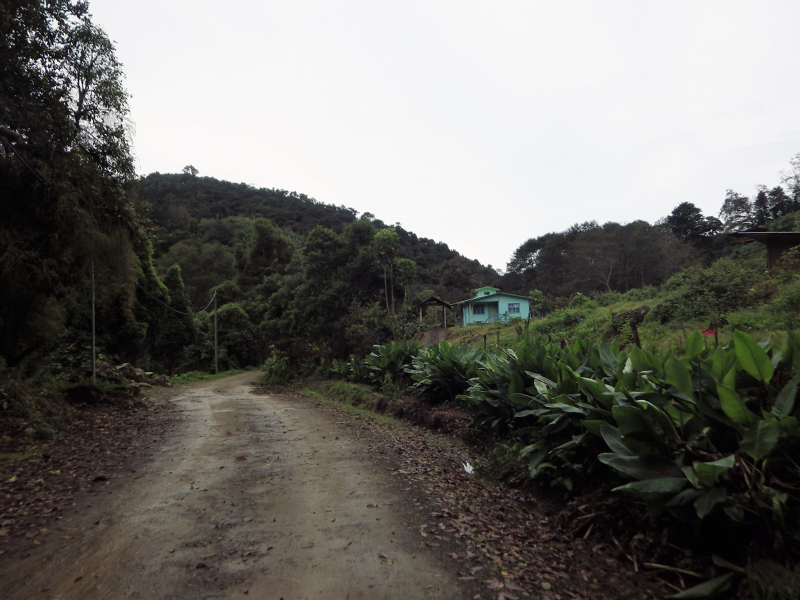 8-Lodge dans montagne