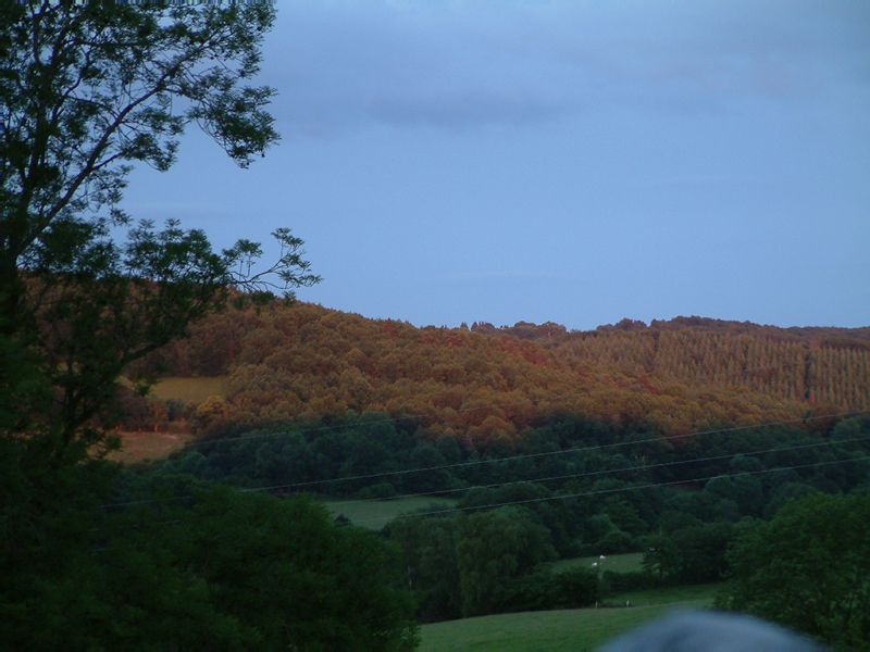 DSCF0005