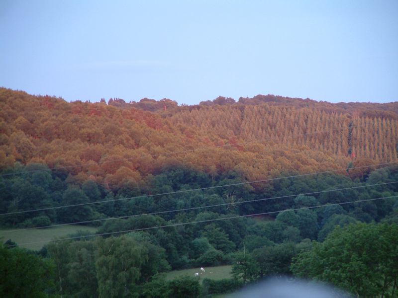 DSCF0006