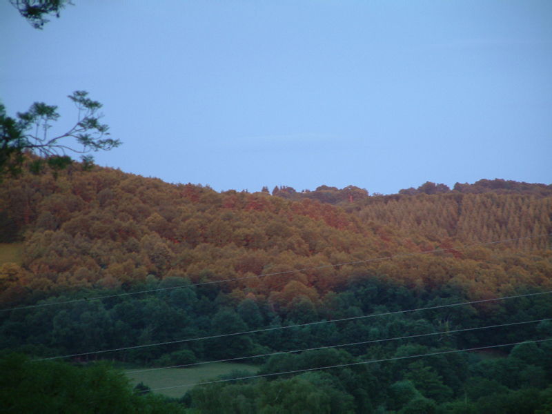 DSCF0007