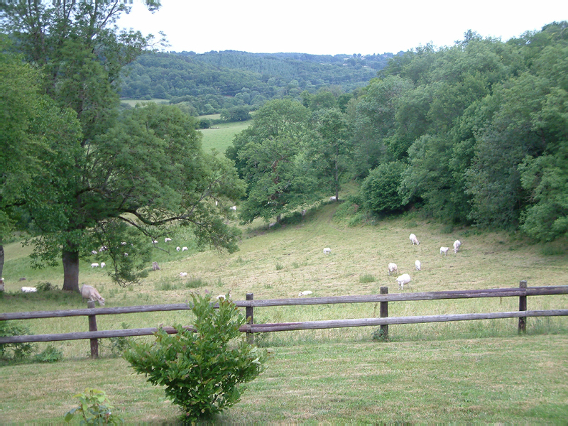 DSCF0011