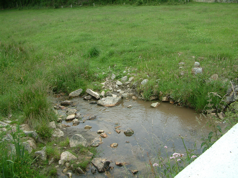 DSCF0044