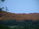 DSCF0007