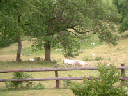 DSCF0012
