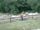 DSCF0017
