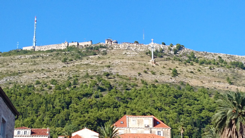DSC_0457