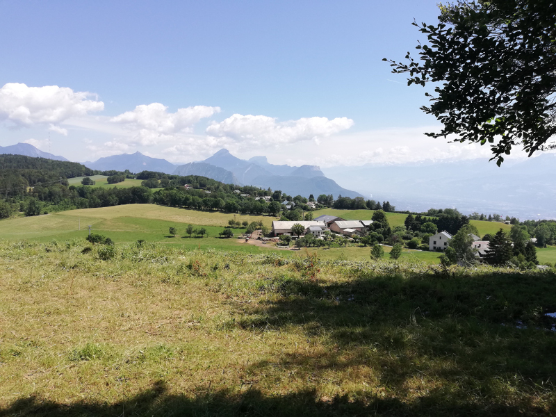 IMG_20190708_115932
