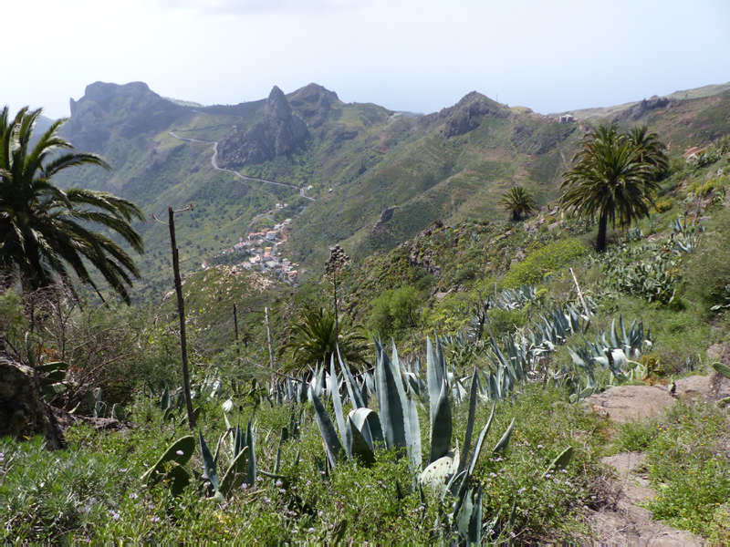 P1000617