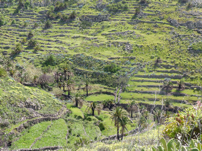P1000648