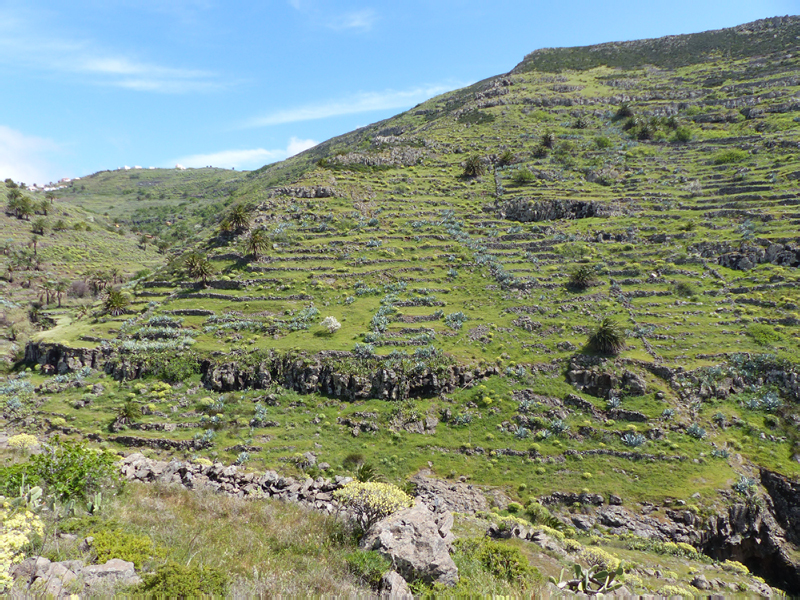 P1000660