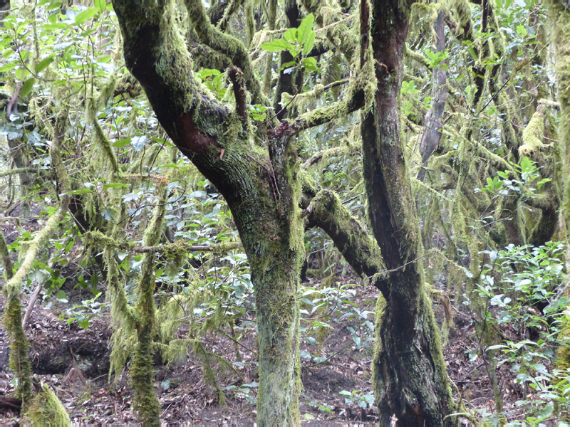 P1000718