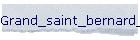 Grand_saint_bernard_fevrier_2010/index.html