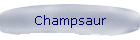 Champsaur