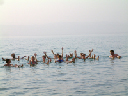DSCF0042