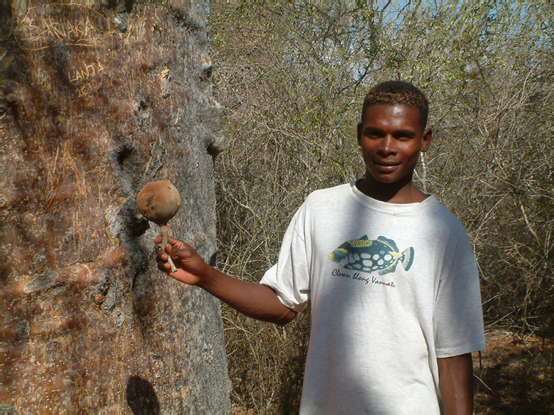 jour_11_19_visite du jardin botanique de Mangily