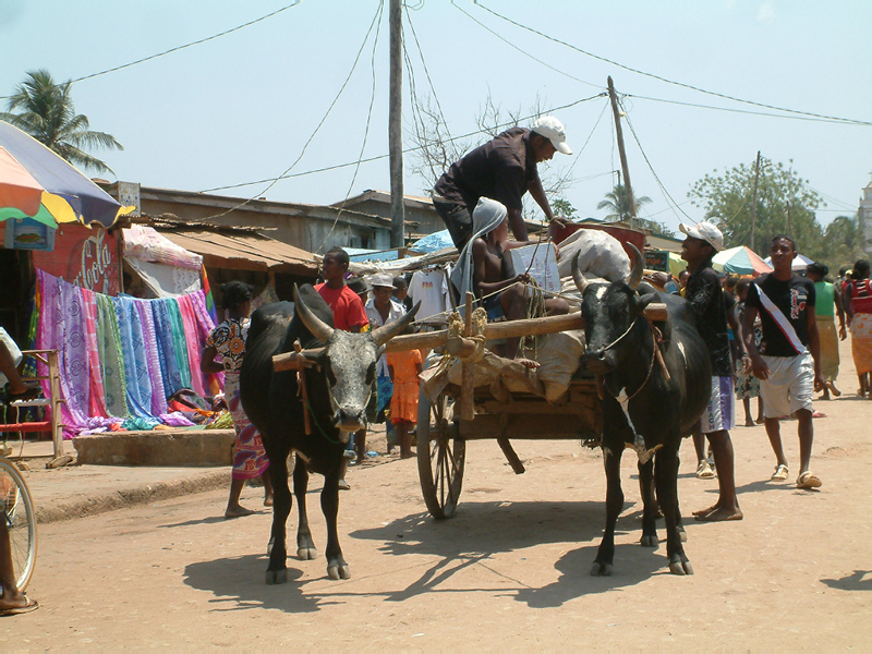 jour_5_4_marche de Belo sur tsiribihina