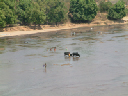 Jour_2_24_Route Miandravizo_Morondave_Fleuve 5