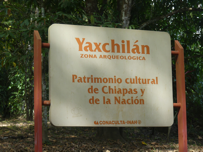 P1030491
