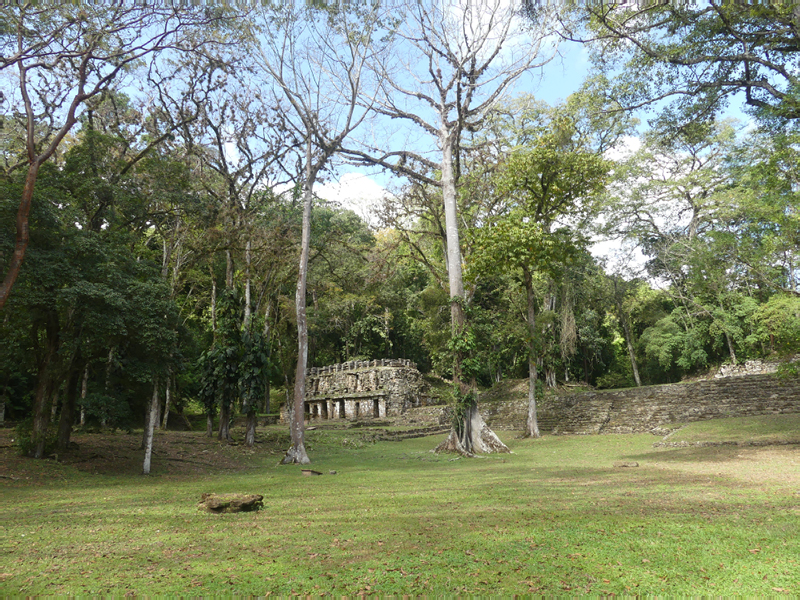 P1030500