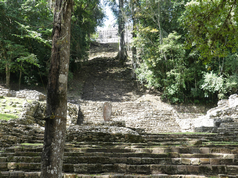 P1030504