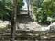 P1030504