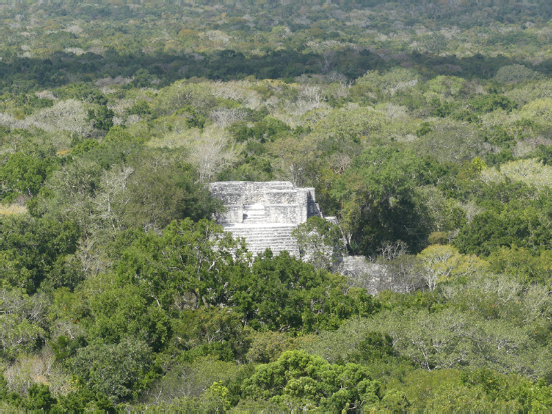 P1030636