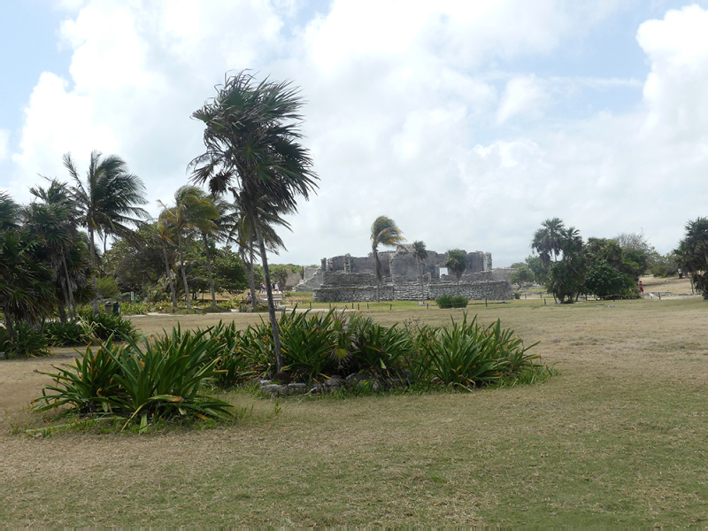 P1030656