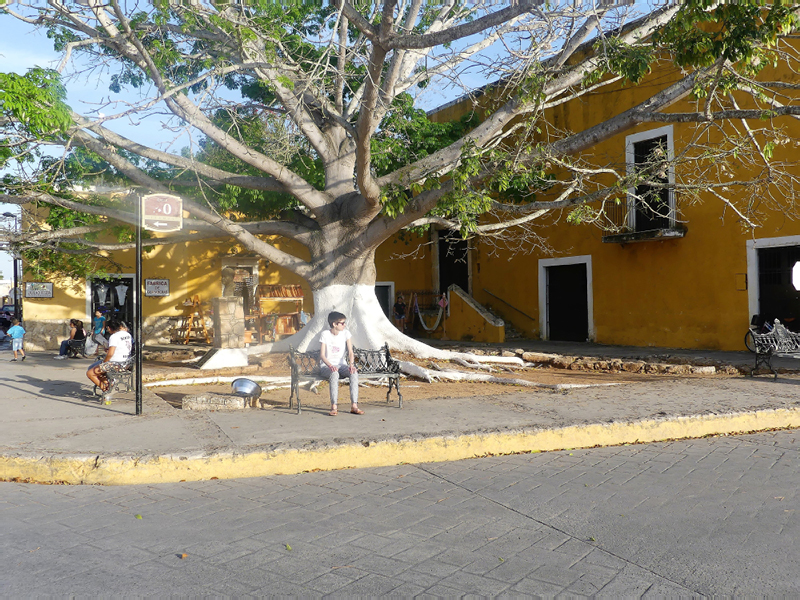 P1030078