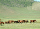 07_085210AA