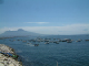 DSCF0022