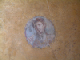 DSCF0089