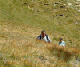 Juil2003 202-1