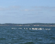 DSC00702