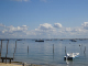 DSC00711