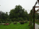 DSC00480