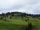 DSC00487