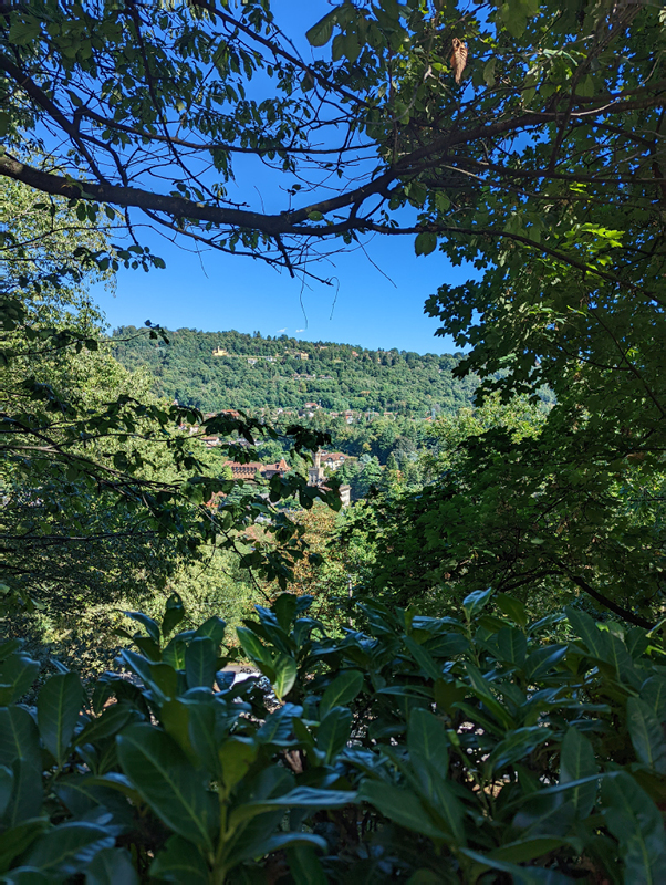 PXL_20220821_140724485